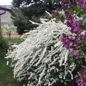 Meet your Posher, Leslie